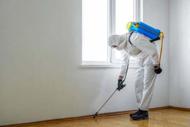 Emergency Pest Control in Far Hills, NJ